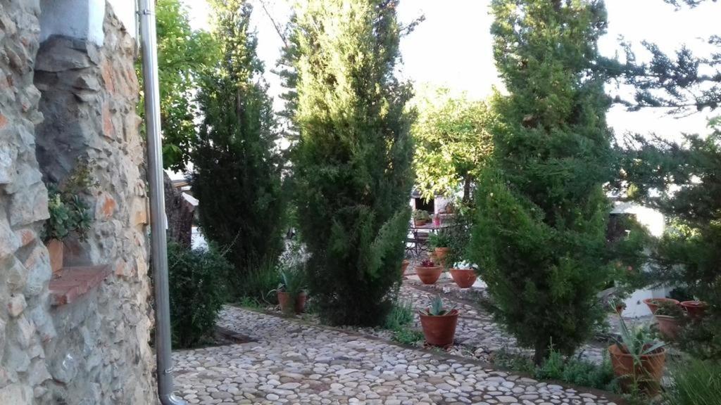 Willa Casas De Almajar Prado Del Rey Zewnętrze zdjęcie