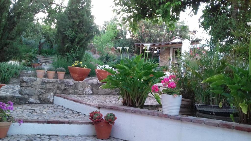 Willa Casas De Almajar Prado Del Rey Zewnętrze zdjęcie