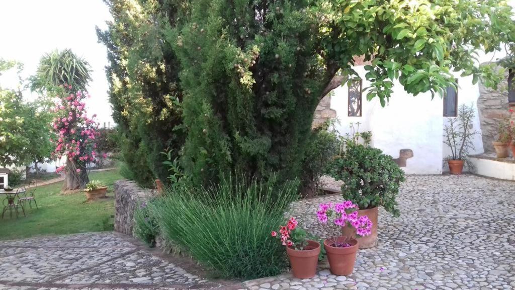Willa Casas De Almajar Prado Del Rey Zewnętrze zdjęcie
