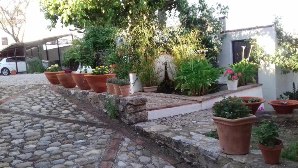 Willa Casas De Almajar Prado Del Rey Zewnętrze zdjęcie
