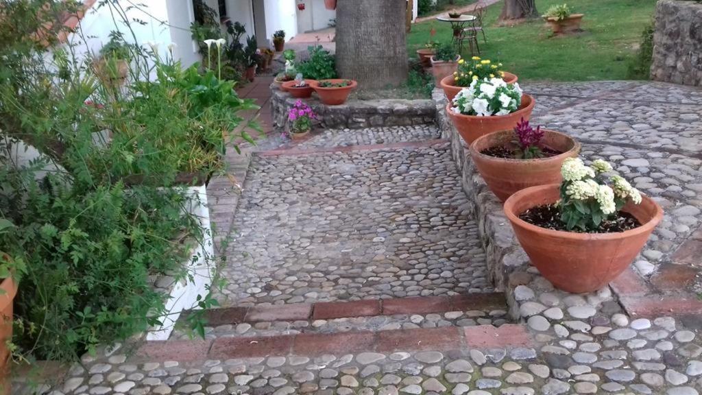 Willa Casas De Almajar Prado Del Rey Zewnętrze zdjęcie