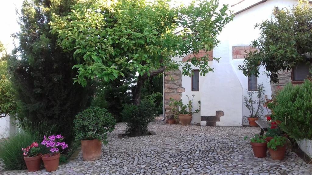 Willa Casas De Almajar Prado Del Rey Zewnętrze zdjęcie